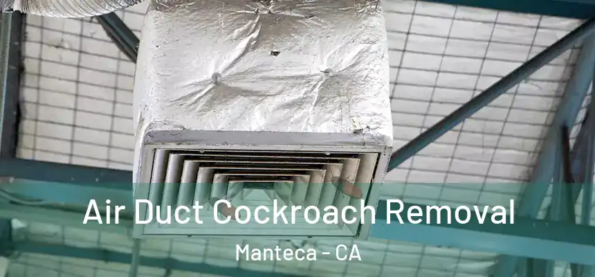 Air Duct Cockroach Removal Manteca - CA