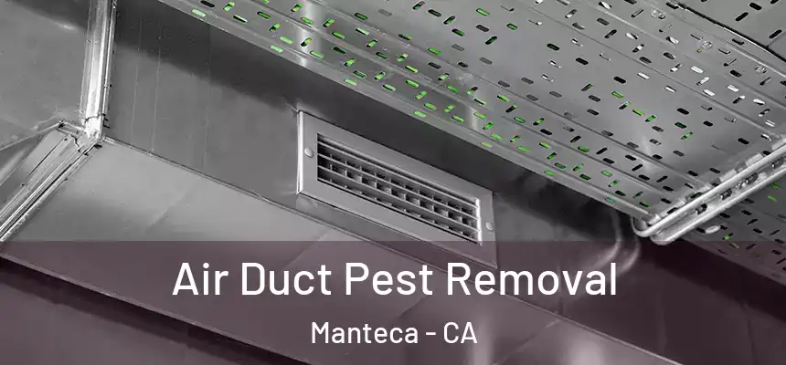 Air Duct Pest Removal Manteca - CA