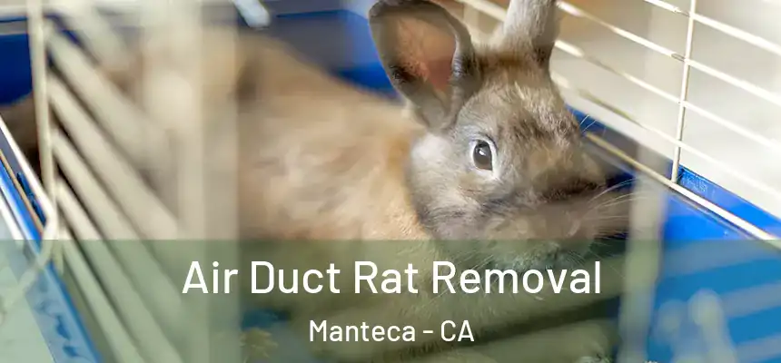 Air Duct Rat Removal Manteca - CA