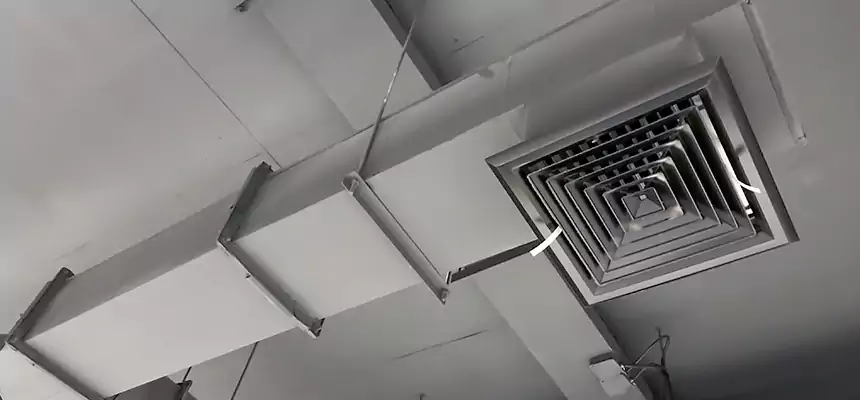 Our Rodent Droppings In Vents Services in Manteca, CA