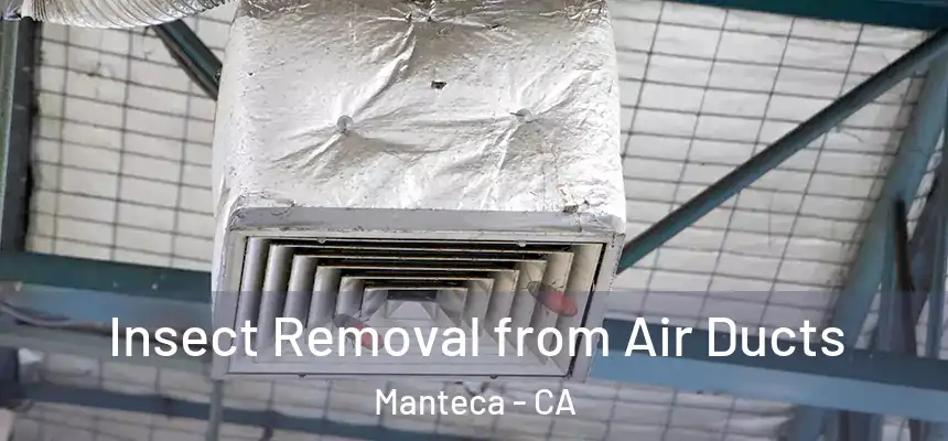 Insect Removal from Air Ducts Manteca - CA