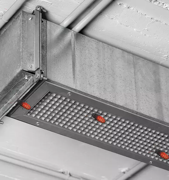 About Air Duct Cockroach Removal in Manteca, CA