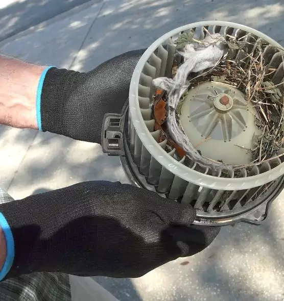 About Air Duct Mice Removal in Manteca, CA