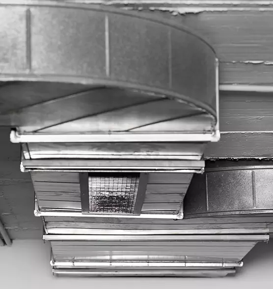 Professional Air Duct Pest Removal in Manteca, CA