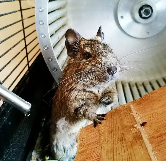 Why Homeowners & Businesses Trust Us Manteca, CA